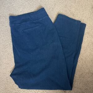 Draper’s & Damon’s Jegging Pull On Pants 2X